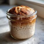 sourdough starter