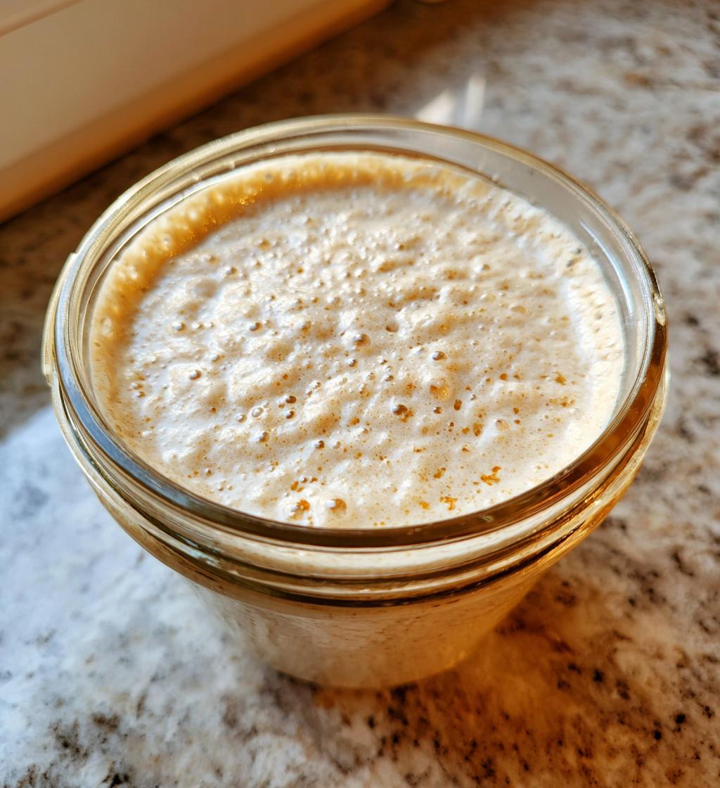 sourdough starter recipe